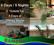 Disney Vacation Packages